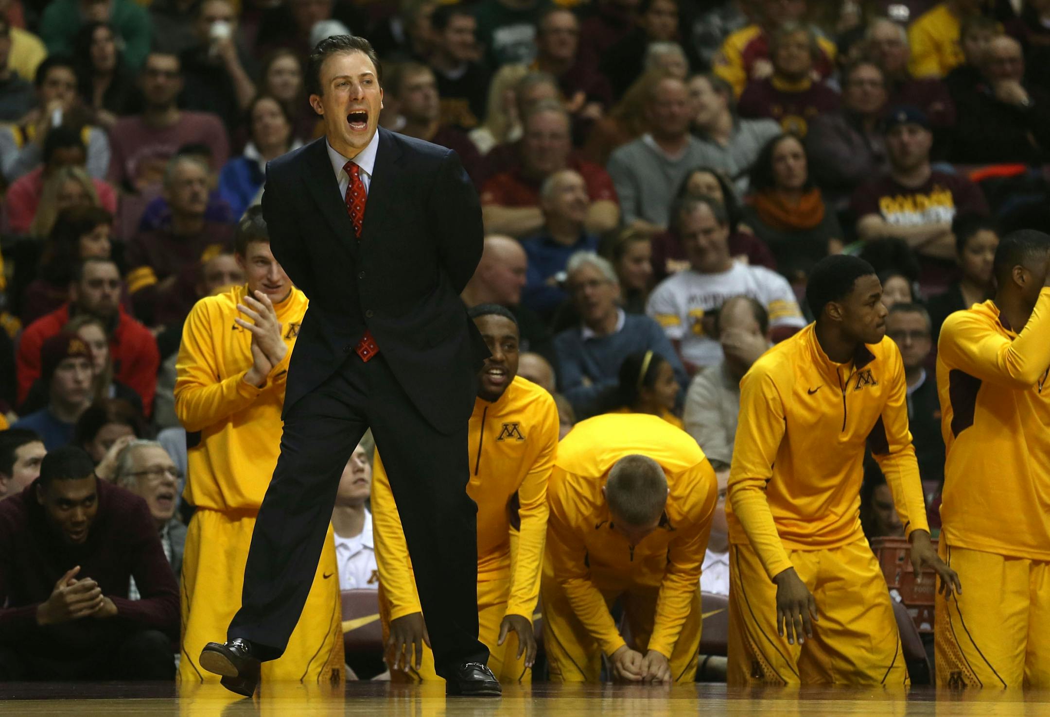 Gophers head coach yelled instructions to his teammates during the second half at Williams Arena in Minneapolis Saturday, December 28, 2013. Gophers won 65-44.