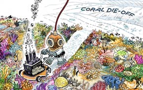 Sack cartoon: Coral reefs