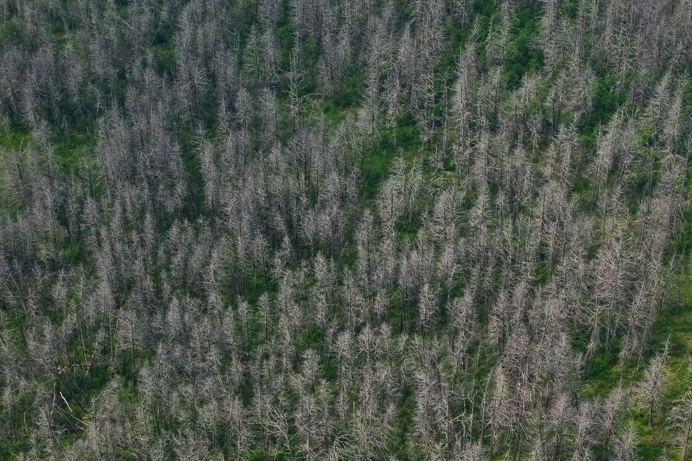 https://arc.stimg.co/startribunemedia/E4RGFEYGRFGNDPNTVVVIE6XWJA.jpg?&w=1200&ar=1.91:1&fit=crop
