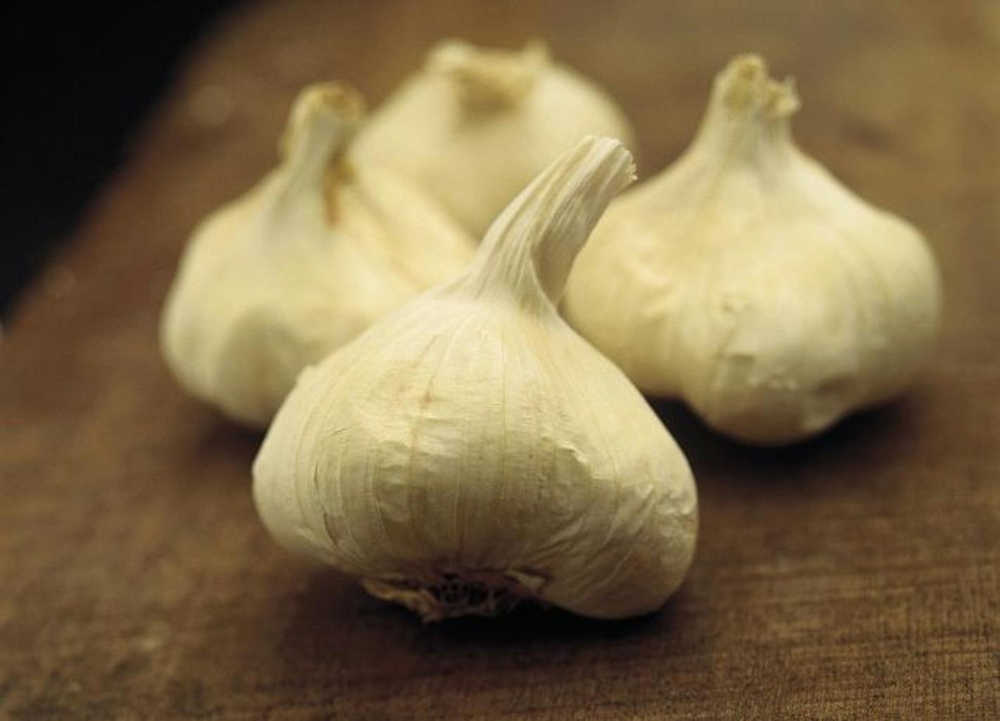 Garlic