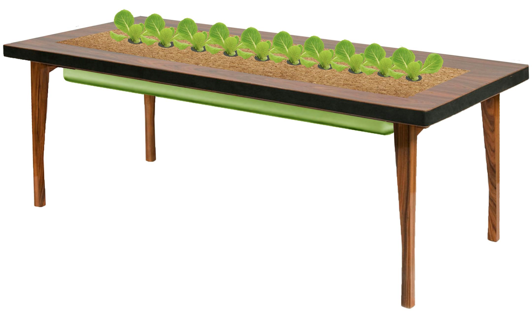 Katherine E. Nash Gallery ‚ÄúThe Hydroponic Table‚Äù is a living sculpture by the Crescent Collective, a name adopted by three Minneapolis artists: Laura Bigger, Artemis Ettsen and Terez Iacovino.