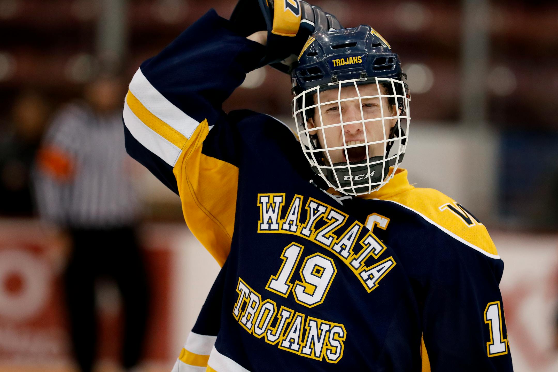 Tyler Stevens of Wayzata celebrated after scoring a goal in the third period of the Class 2A, Section 6 championship game.