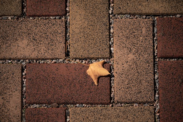 Fallen leaves can clog storm sewers.