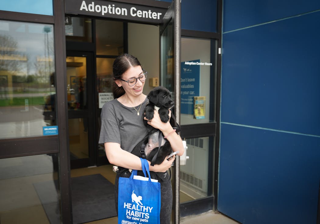MacKenna Theis, of St Paul was excited to take home her new adopted lab mix puppy, Peter, from the Animal Humane Society on May 9, 2023 after the nonprofit reopened its Woodbury location.