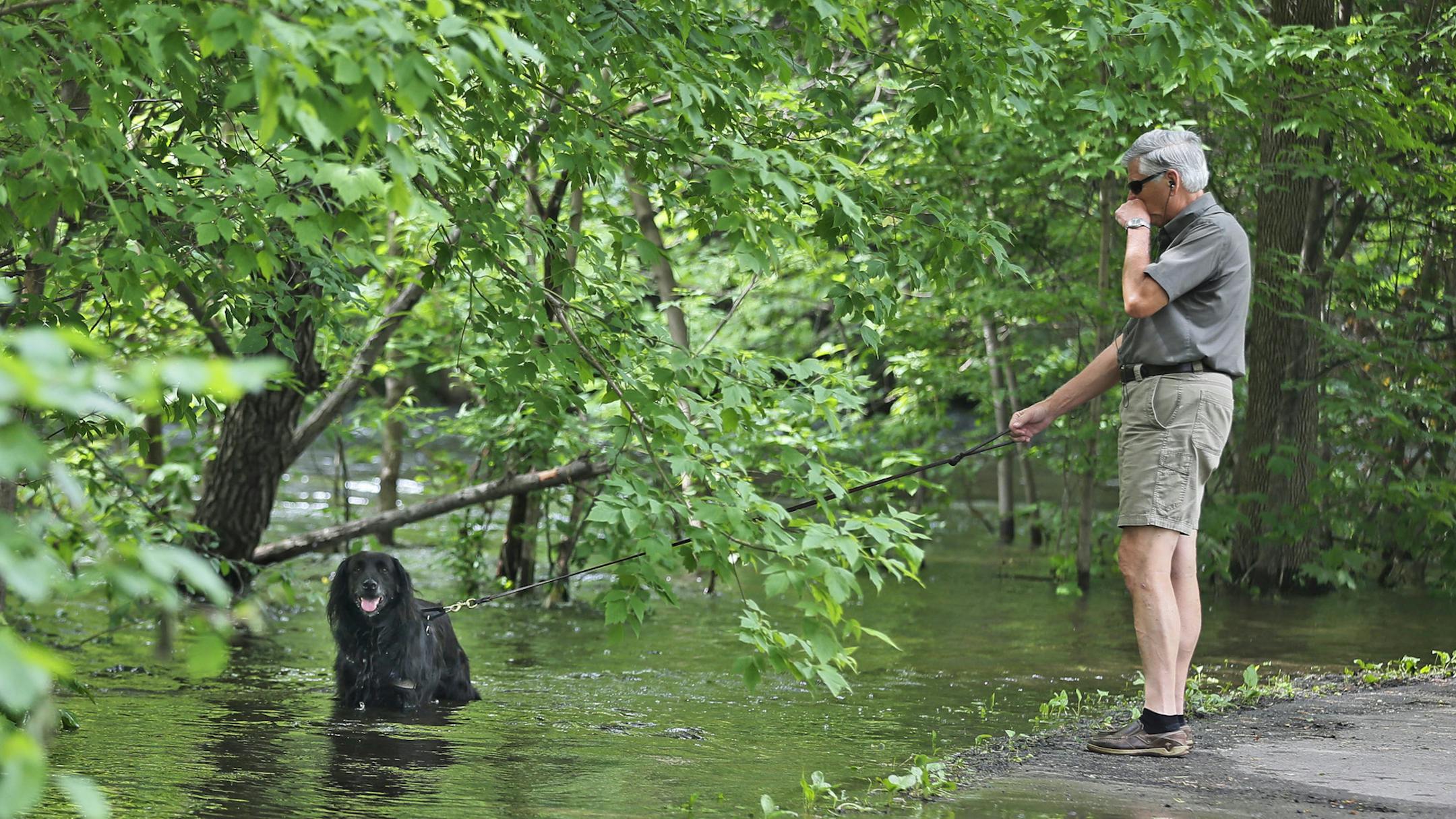 Bruce Nelson walked his dog Trooper through the flooded walking and bike paths along Minnehaha Creek near E 47th street and S 28th Avenue on Sunday June 22, 2014 in Minneapolis, MN.