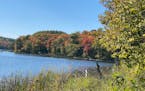 Maplewood State Park fall colors - September 25, 2021
