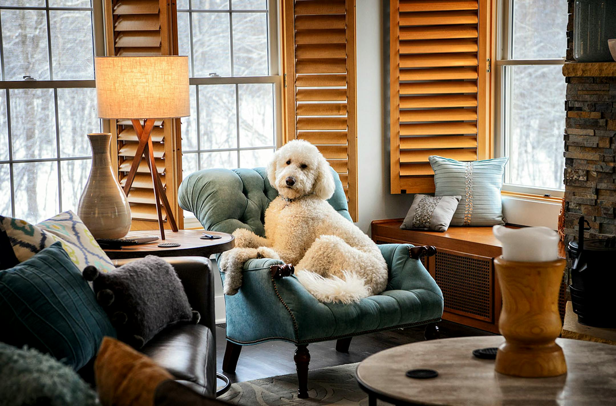 Billie the golden doodle enjoyed the attention as Joan and Reed Neslon showed off their remodeled Bloomington home.