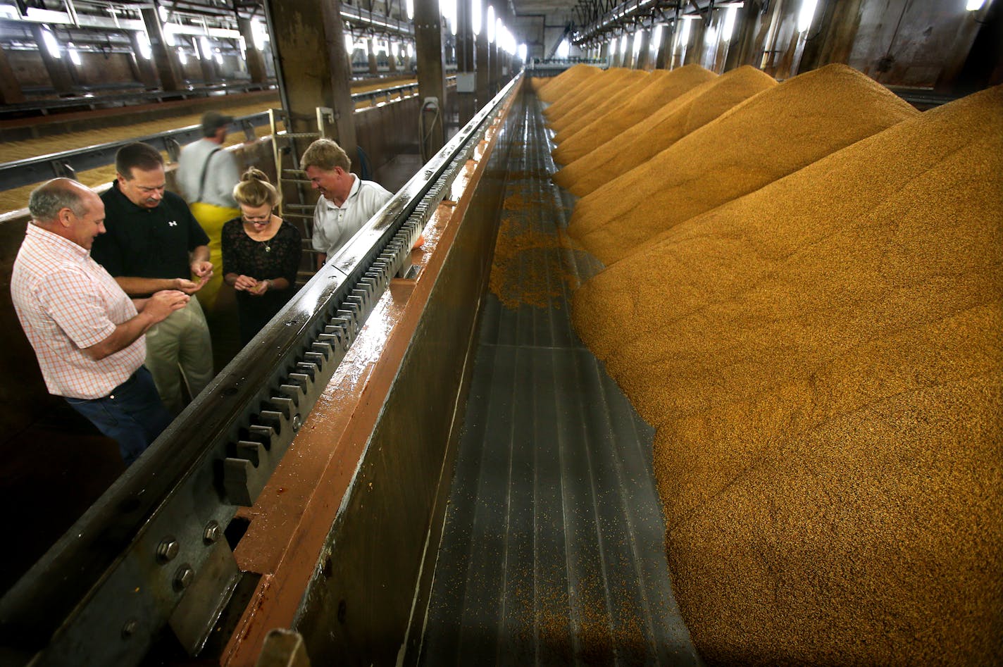 Left to Right: Jesse Theis (COO), Gary Lee (CEO), Molly Bremer (Operations Manager), and Jeff Taylor (CFO) check over the grain in Rahr Malting, now the country's largest ingredient supplier to the fast-growing microbrewing industry. Over the years the company has had a big economic and civic impact on the community. Shakopee, MN on August 15, 2013. ] JOELKOYAMA&#x201a;&#xc4;&#xa2;joel koyama@startribune As Datacard gets ready to move to Shakopee we take a look at what it means to have a world h