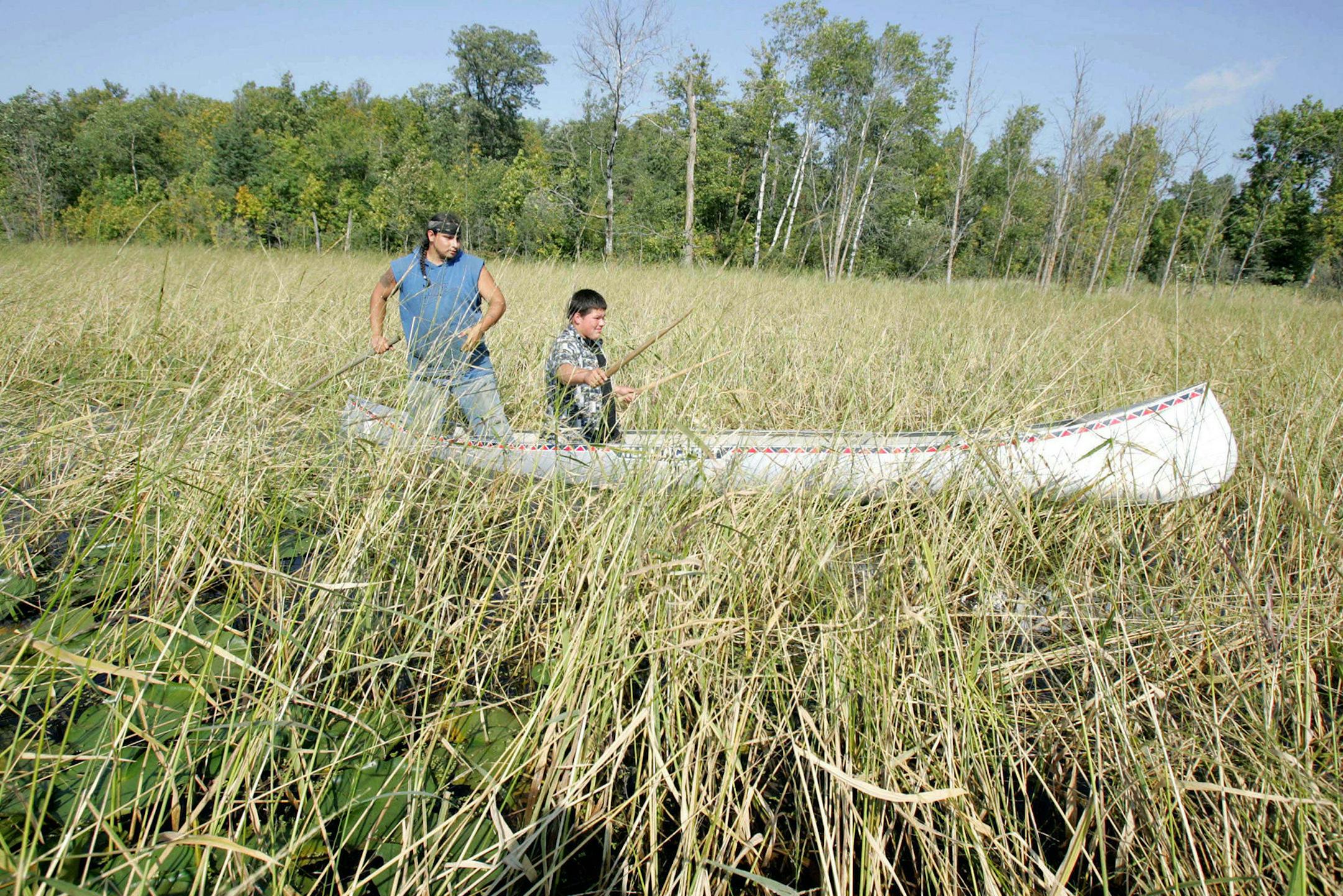 FILE - In this Aug. 30, 2006 file photo, Joe Hoagland, left, pushes a canoe through a wild rice bed in White Earth, Minn., as 14-year-old Chris Salazar learns how to harvest the rice by knocking the grain off the stalks with two sticks.