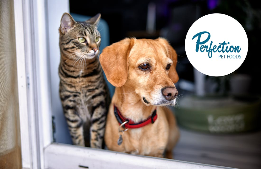 Post Holdings acquires another pet food company for 235 million