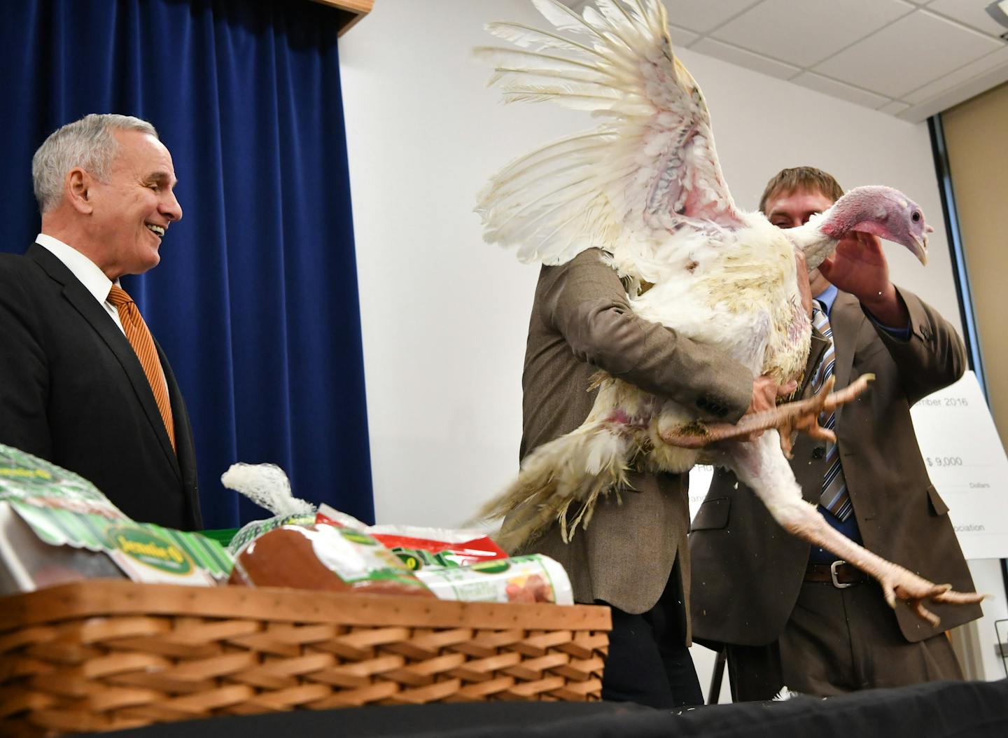 Governor Mark Dayton laughed as Lt. Governor Tina Smith volunteered to carry the turkey back to his cage. This Minnesota Turkey will not be named or pardoned but like 46 million Minnesota turkeys is headed to the food stream. ] GLEN STUBBE * gstubbe@startribune.com Monday, November 21, 2016 Gov. Mark Dayton holds his annual Thanksgiving turkey event. We won't call it a 'pardon' because that is outside the power of the governor. No, this prized bird gets a flash of statewide attention before bein