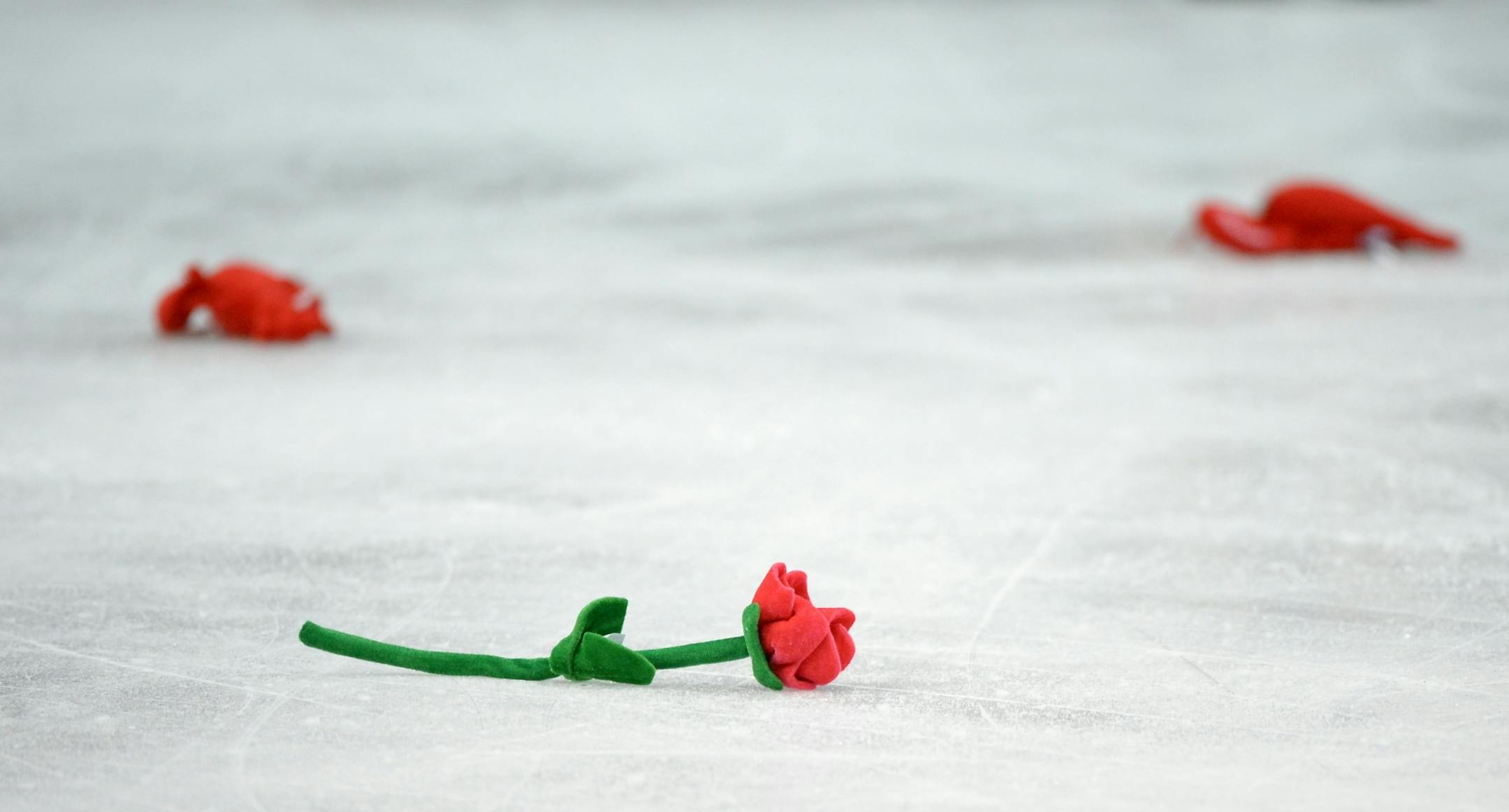 Fans threw fake roses and stuffed animals onto the ice after their favorite skaters performed Saturday at the Prudential U.S. Figure Skating Championships.