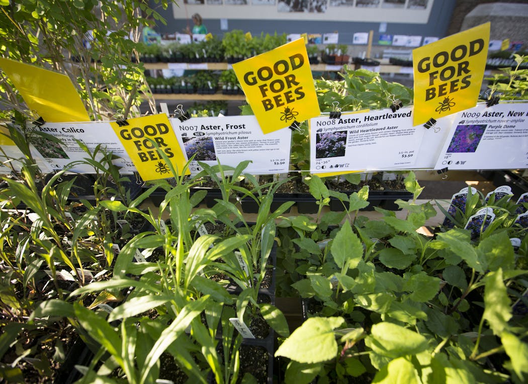 Bee-friendly plants at the Friends School Plant sale at the State Fair Grandstand in Falcon Heights on May 5, 2016. 