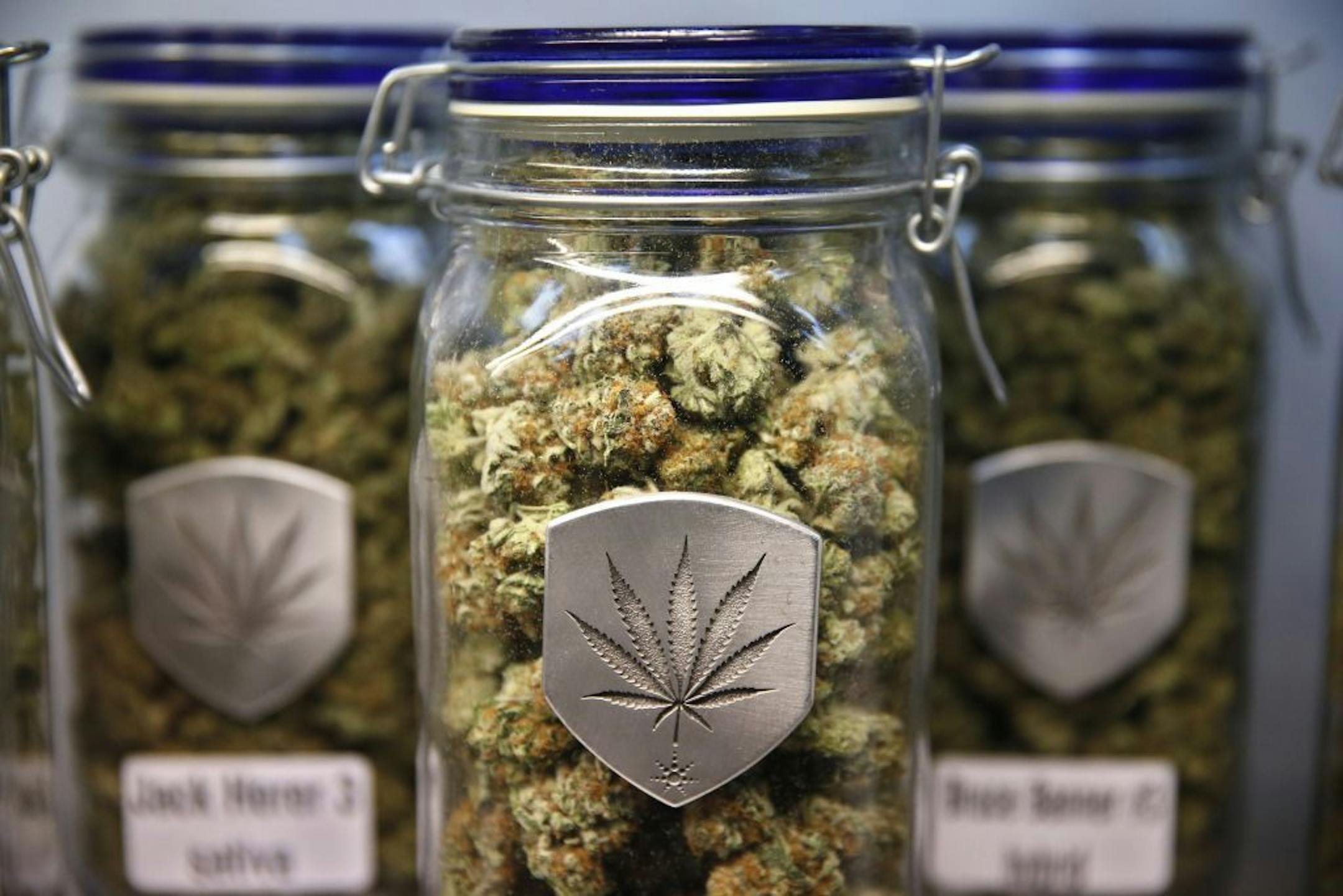 FILE - In this Dec. 27, 2013, file photo, different strains of pot are displayed for sale at Medicine Man marijuana dispensary in Denver. Nationwide marijuana legalization seems inevitable to three-fourths of Americans, according to a new poll out Wednesday, April 2, 2014. The Pew Research Center survey on the nation's shifting attitudes about drug policy also showed increased support for moving away from mandatory sentences for non-violent drug offenders.