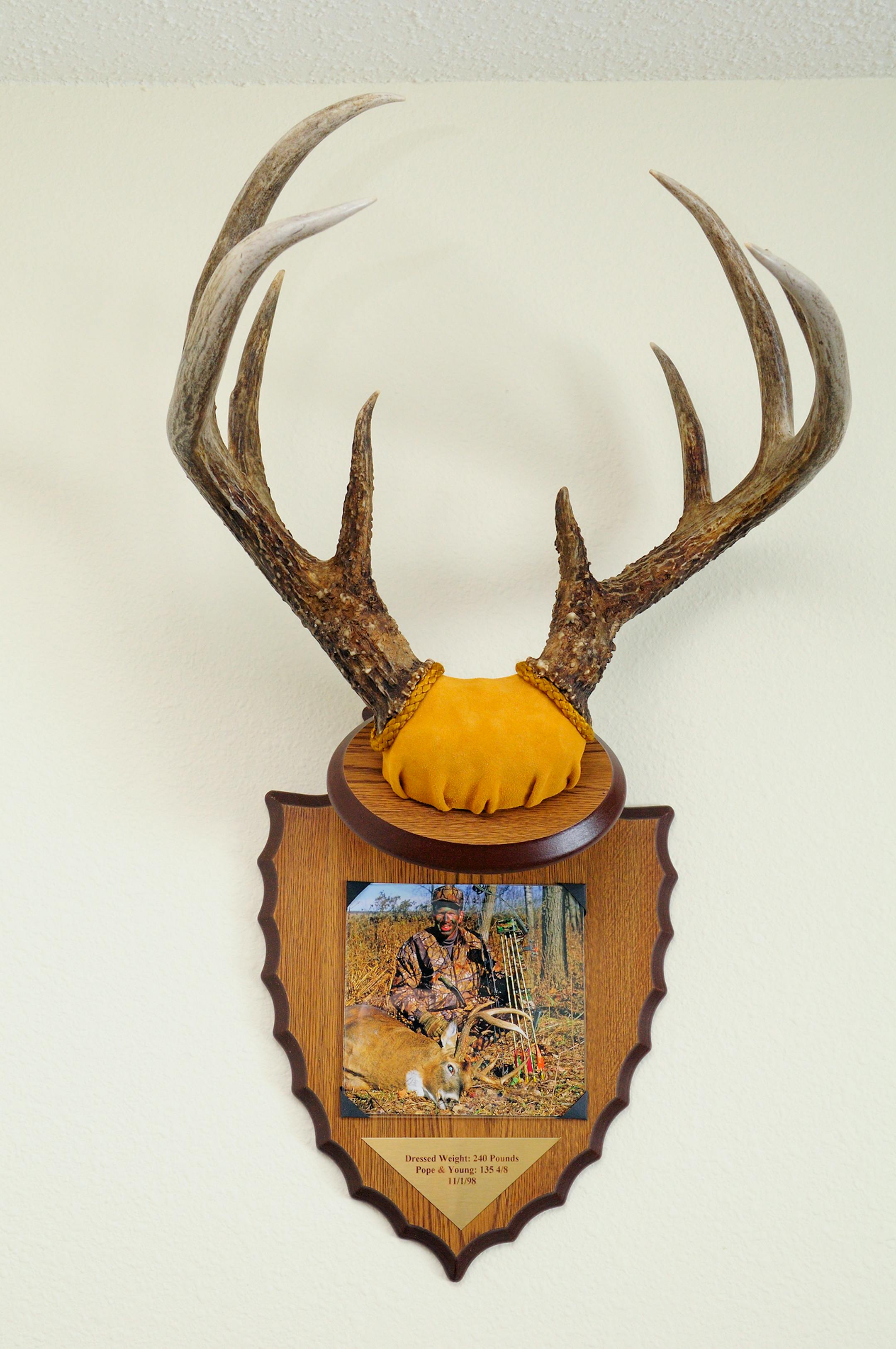 Preserve the memories of the hunt with a unique display that portrays the antlers in an upright, natural pose.