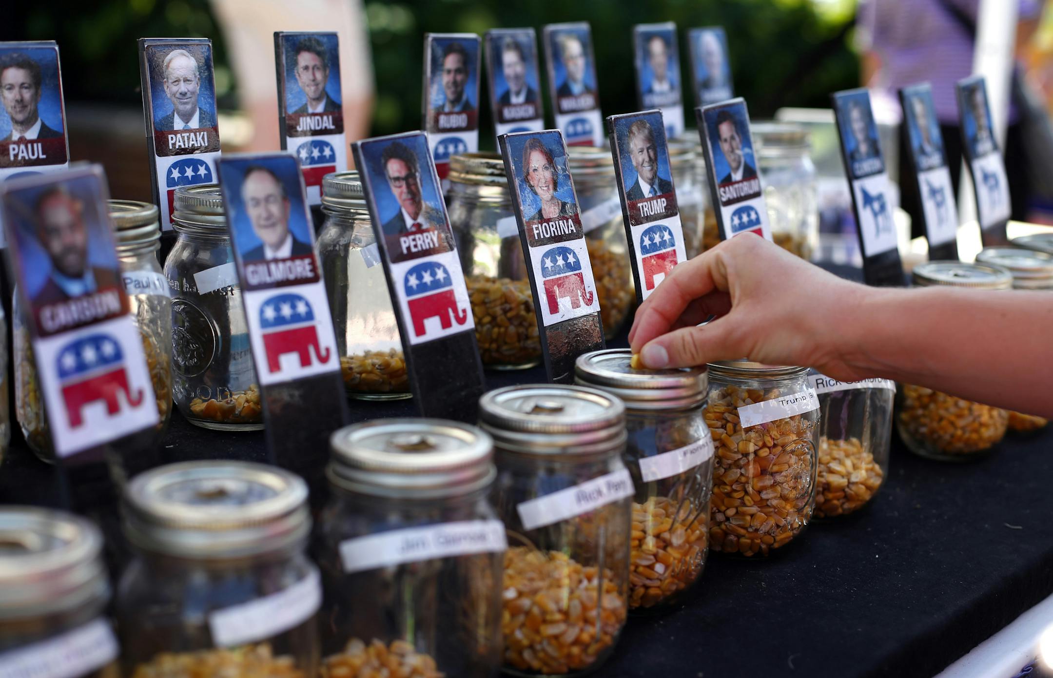A visitor casts their vote with a kernel of corn for presidential candidate Carly Fiorina in a straw poll at the Iowa State Fair, Thursday, Aug. 20, 2015, in Des Moines, Iowa. (AP Photo/Paul Sancya)