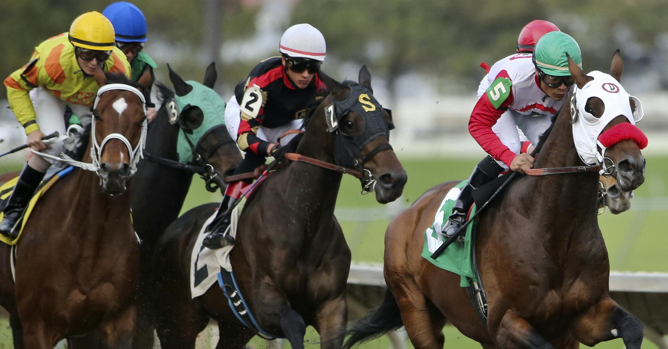 Jockey Jorge Carreno rode Ella's Kitten from start to finish in the lead for the win during opening night at Canterbury Park on Friday, May 16, 2014.