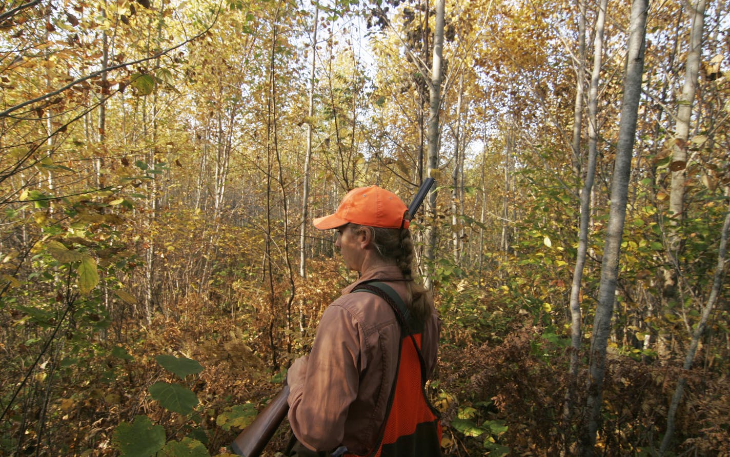 Meadow Kouffeld-Hansen, a DNR wildlife biologist and ruffed grouse expert, hunted ruffies and woodcock last weekend north of Grand Rapids, Minn.