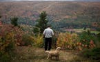 Jim Austin stands on a lookout near the edge of his land in Cape Breton, Nova Scotia, Canada, Oct. 13, 2016. Jim Austin and his family are giving away