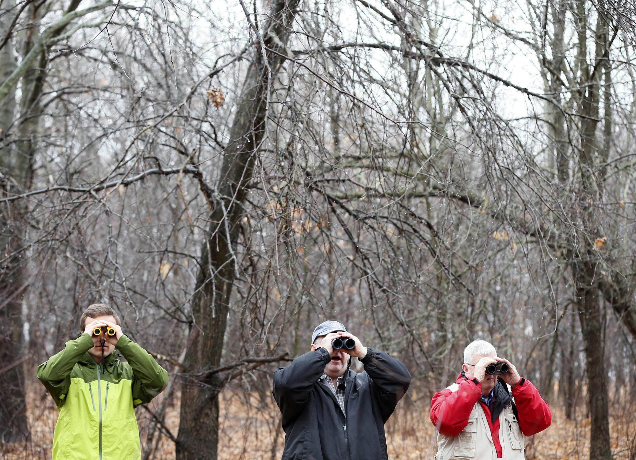 Ben Hansen left Jeremy Powers ,and Kent Buell were among small group of birdwatchers at the Springbrook Nature Center who looked for migratory birds Thursday April l9, 2015 in Fridley, Minnesota. ] Jerry Holt/ Jerry.Holt@Startribune.com