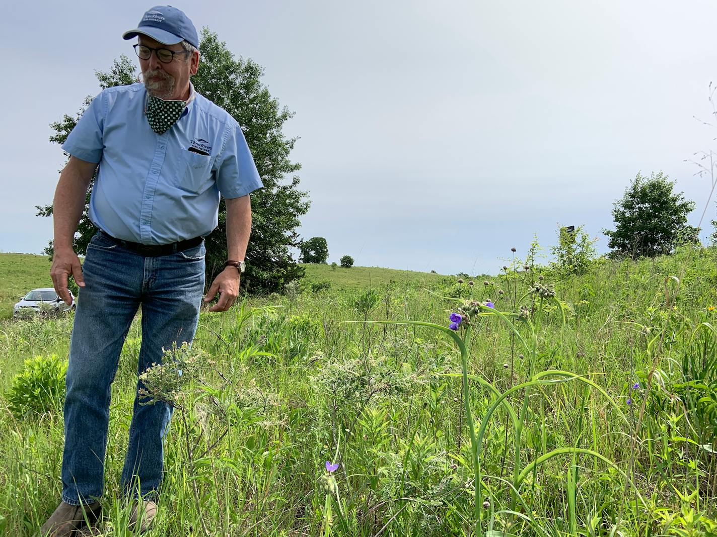 John Moriarty, senior wildlife manager at Three Rivers Parks District, talked about the prairie restoration work over decades at Crow Hassan Park Reserve between Rogers and St. Michael. "This isn't native prairie. We created this."