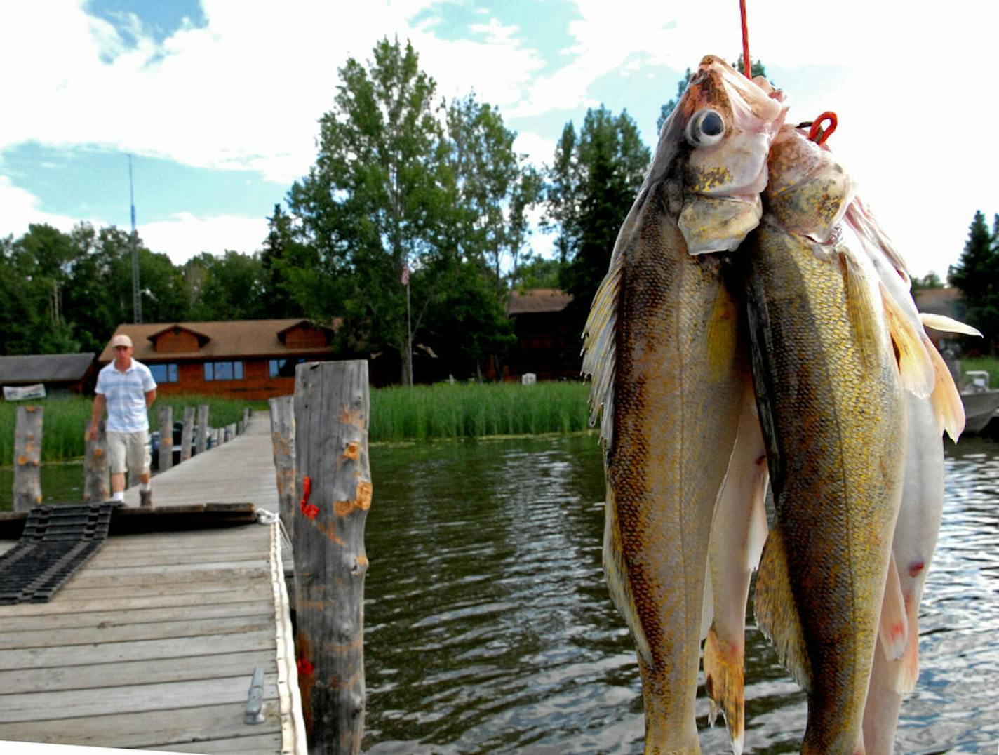 Have a favorite opening day memory? Hundreds of thousands of Minnesota walleye anglers do. We want to hear yours.