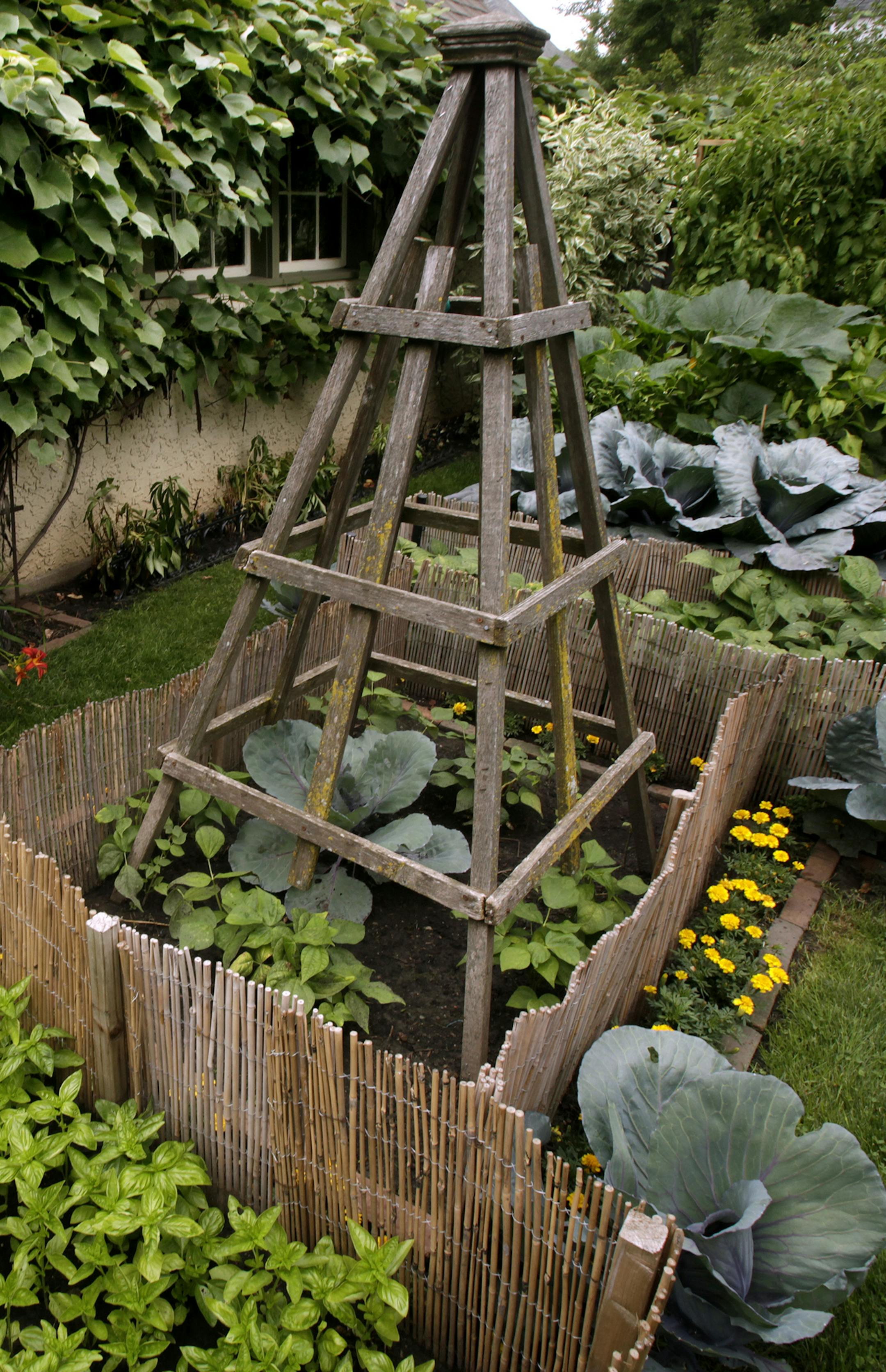 Beautiful Garden winner Eileen Troxel has a formal vegetable garden that produces edibles for her summer table and fodder for her food blog. St. Paul, MN on August 8, 2013. ] JOELKOYAMA‚Ä¢joel koyama@startribune