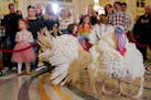 Two turkeys, named Liberty and Bell, who will receive a Presidential Pardon at the White House ahead of Thanksgiving, attend their news conference, Su