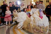 Two turkeys, named Liberty and Bell, who will receive a Presidential Pardon at the White House ahead of Thanksgiving, attend their news conference, Su
