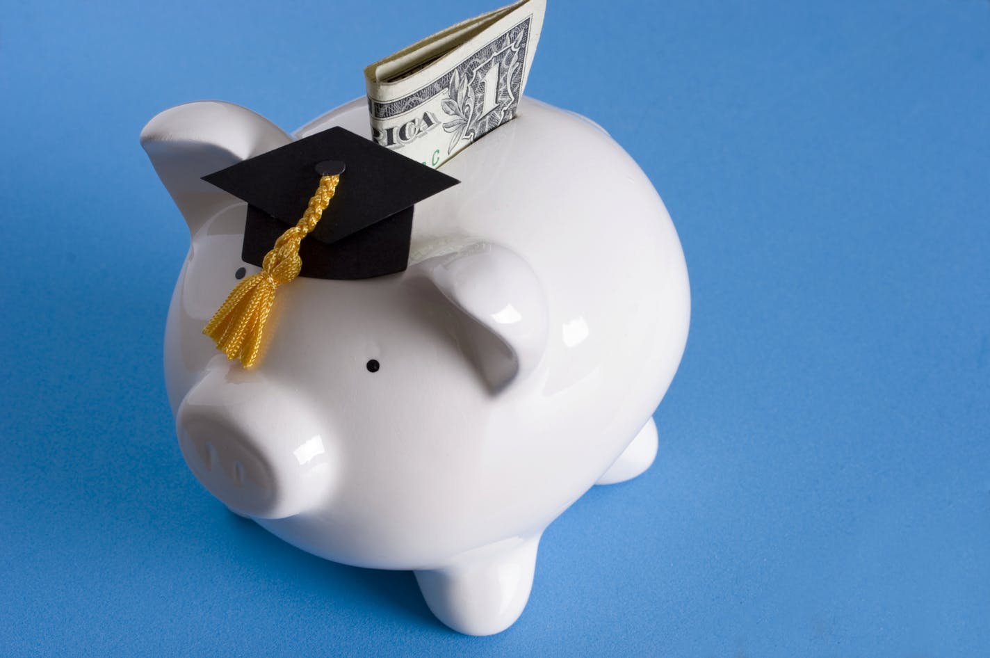 Piggy bank with a graduation cap with dollar bill