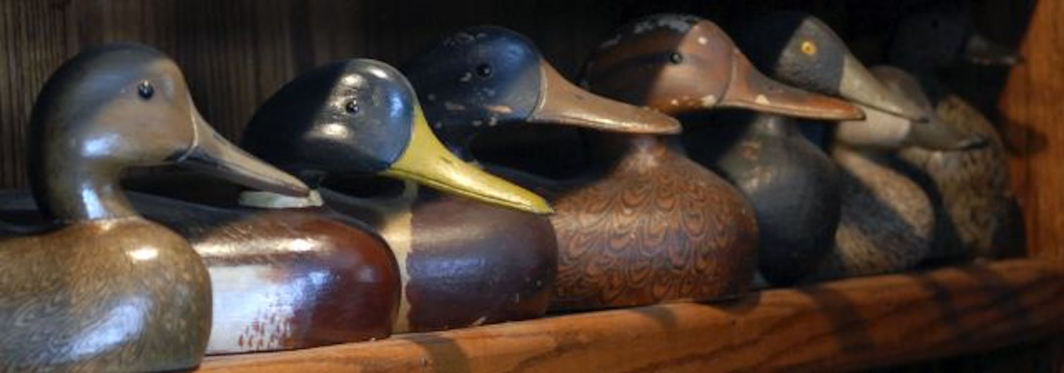 The Minnesota Decoy Collectors Association show runs from today through Saturday at the Ramada Mall of America in Bloomington. People can buy, sell, trade or just admire lots of beautiful decoys. More information is at mndecoycollectors.com or 651-455-7144.