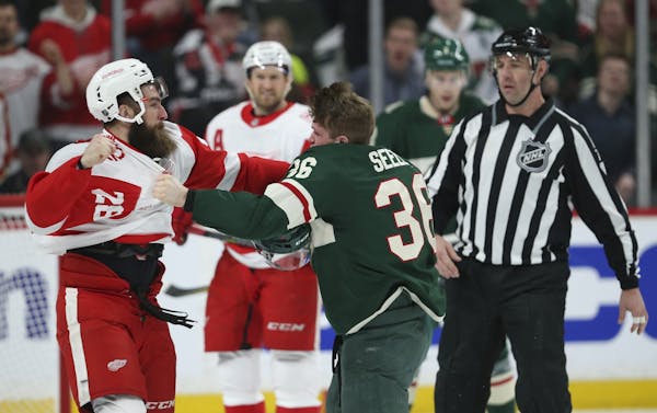 Minnesota Wild defenseman Nick Seeler (36) tangled with Red Wings right wing Luke Witkowski (28) in the second period resulting in penalties for both 