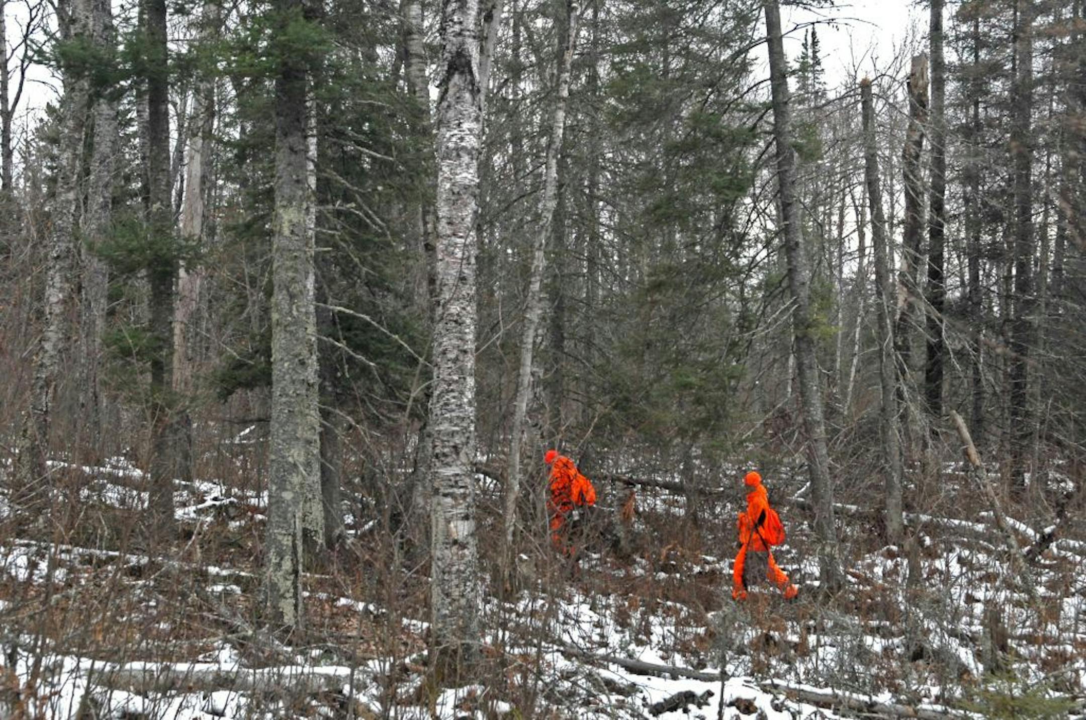 Near Cook, snow covered the ground in the woods, greeting deer hunters on the season opener.