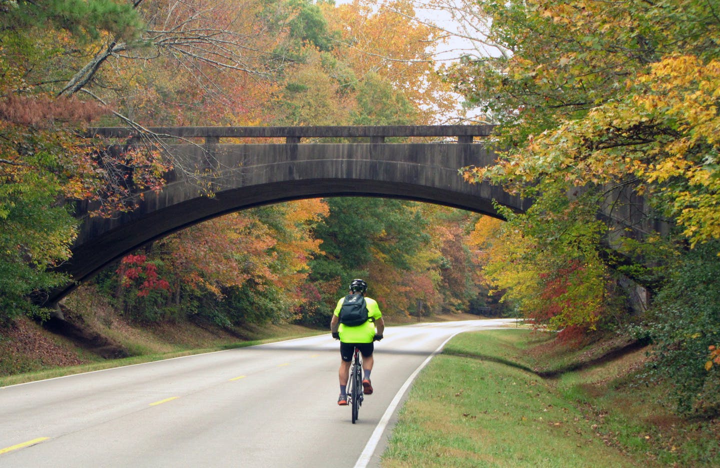 These are all my husband, Ed, biking along various stretches of the Trace. If you need to have some idea where we were (the state, for example), I&#x201a;&#xc4;&#xf4;d have to get back home and look at my notes.