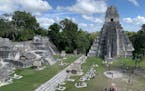 Tikal, an ancient Mayan citadel, lies in the forests of Guatemala. By Jennifer Jeanne Patterson, Special to the Star Tribune