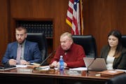 The Minnesota House Higher Education Finance and Policy Committee, chaired by Rep. Gene Pelowski, DFL-Winona (center) listened to U of MÕs Budget Dir
