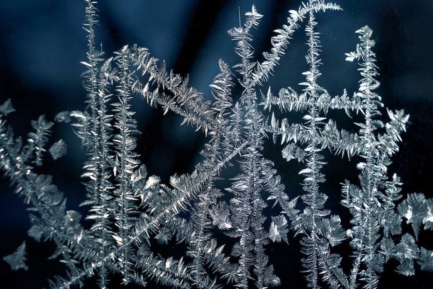 With temperatures dipping into the upper 20's below zero with a -50 wind chill, nature created some wonderful crystalline art on a window in Burnsville on Wednesday, January 30, 2019.