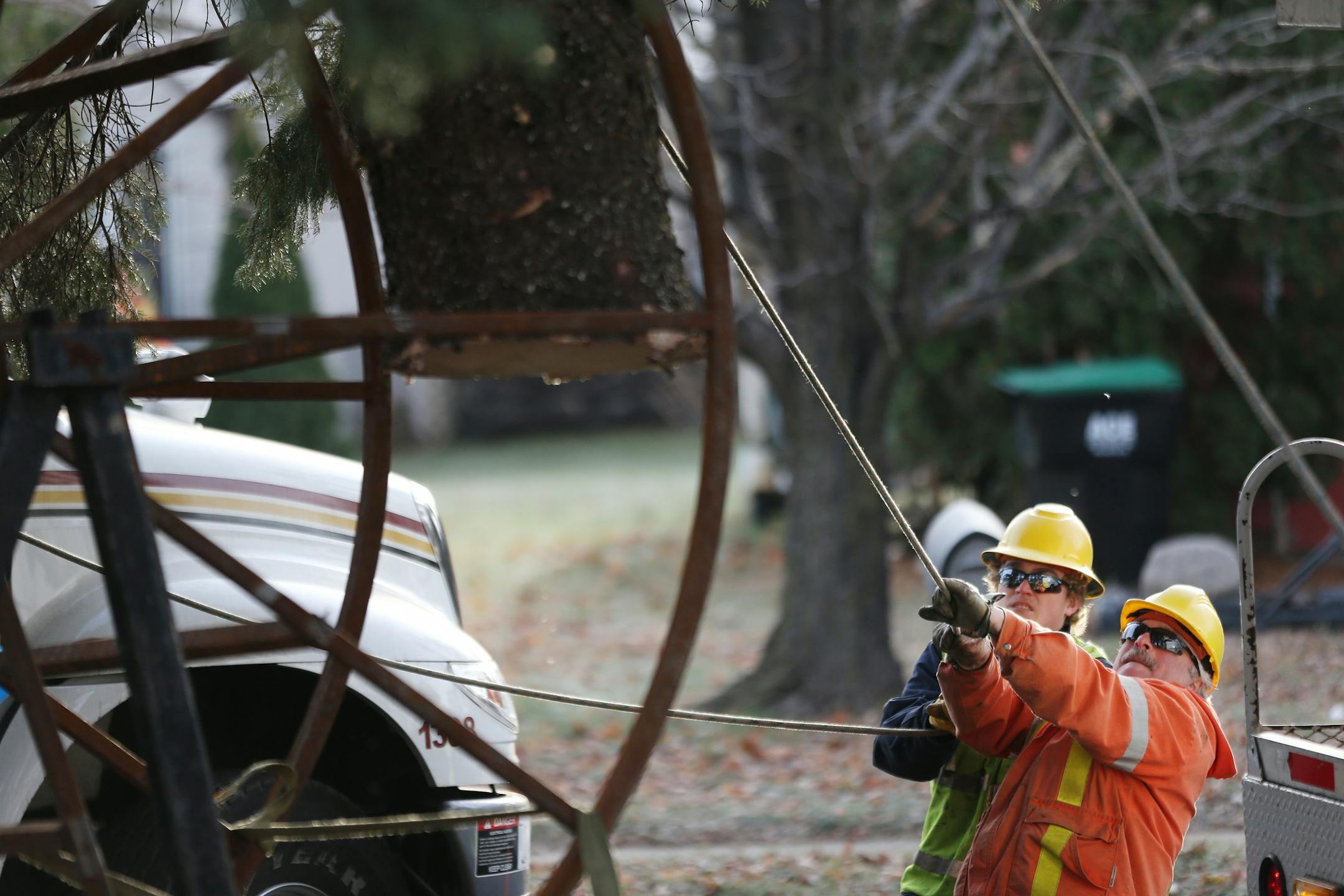 Anoka city crews removed a 44-foot Black Hills spruce tree from Bob Brass yard Monday November 20, 2017 in Anoka, MN. The tree will serve as this years Christmas tree and will be placed in front of City Hall.