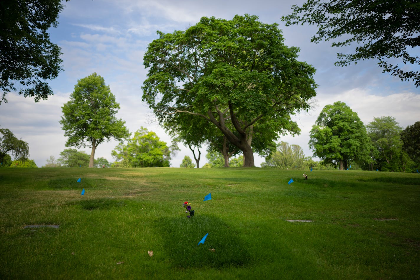 A freshly sodded plot at Lakewood Cemetery in Minneapolis, the city's largest home for the departed, photographed Wednesday evening, June 29, 2022. ] JEFF WHEELER • Jeff.Wheeler@startribune.com