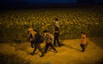 Syrian refugees walk among fields at the border town of Idomeni , northern Greece to cross the border and enter Macedonia, on Tuesday Aug. 25, 2015. T