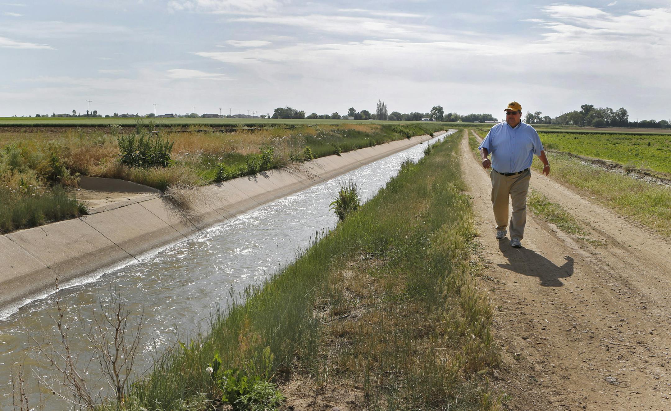 In this Friday, June 7, 2013, photo farmer Kent Peppler inspects one of his irrigation ditches that provides water to irrigate his crops on his farm near Greeley, Colo. Peppler says he is fallowing some of his corn fields this year because he can't afford to irrigate the land, in part because deep-pocketed energy companies have driven up the price of water. (AP Photo/Ed Andrieski)