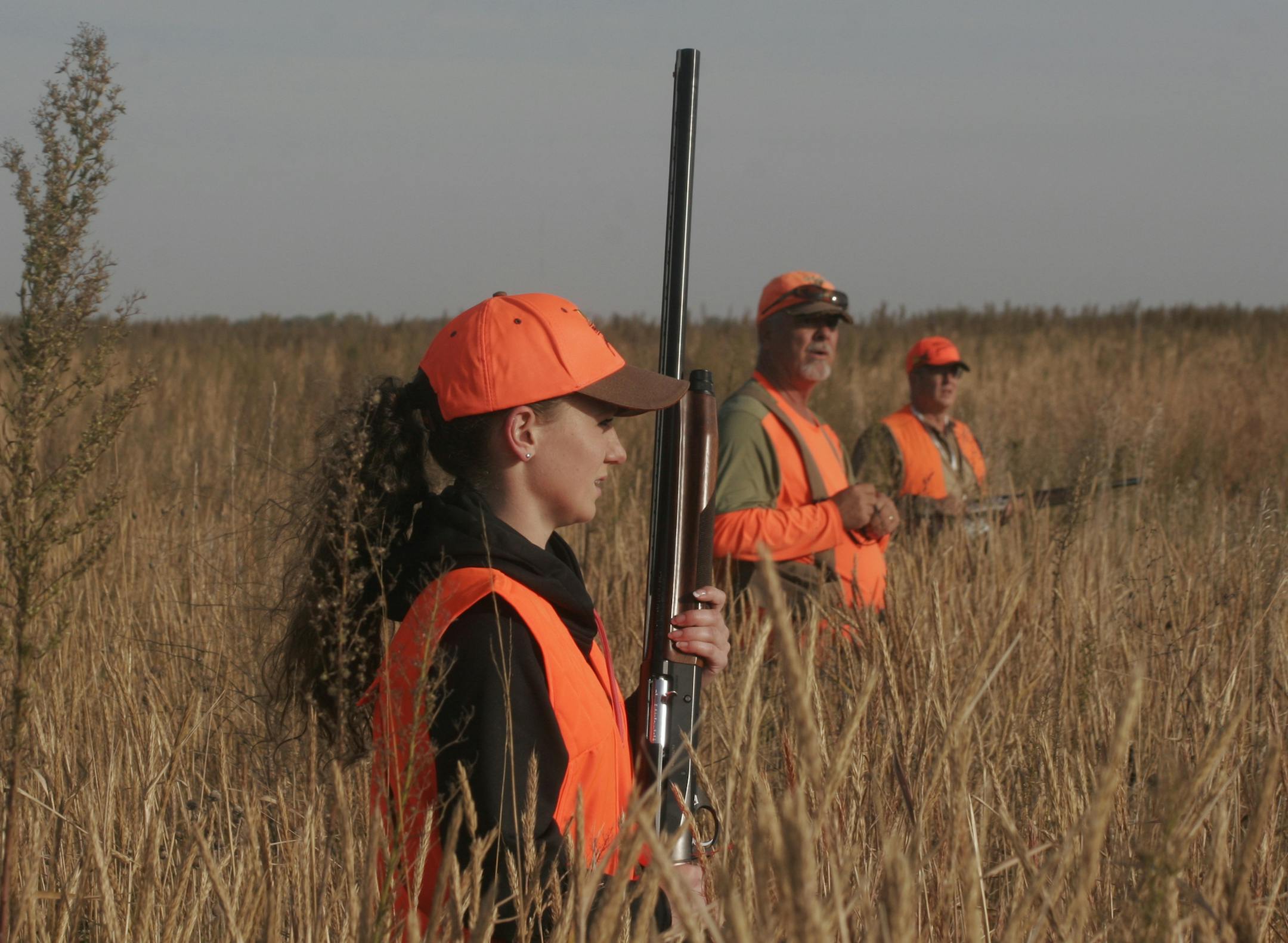 Julia Giefer, Scott Rall and Julia's dad, Brett, walked heavy cover looking for pheasants Saturday during the fifth annual Governor's Pheasant Opener near Mankato. Star Tribune photo by Doug Smith; Oct. 10, 2015.
