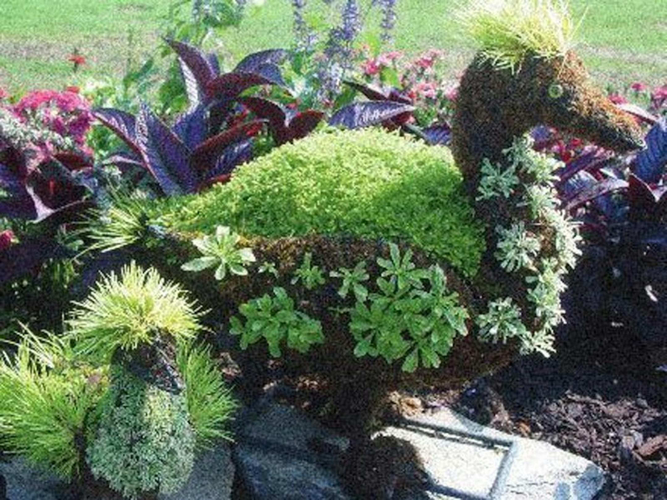 Topiaries come in all types of animals. (Courtesy Gardens by Teresa/MCT)