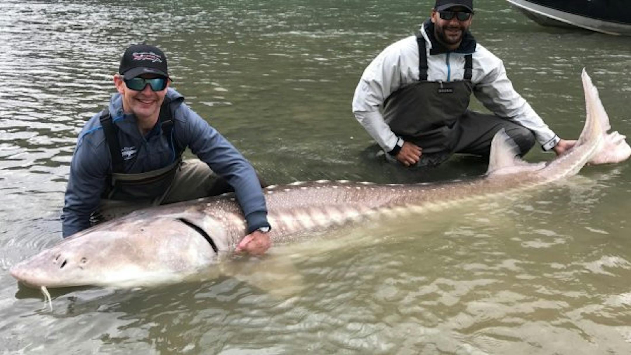 Dustin Byfuglien and Matt Hendricks with their massive sturgeon.