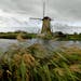 The wind blew water reeds near the Kinderdijk windmills. The windmills are part of the Dutch landscape responsible for keeping half the country above 