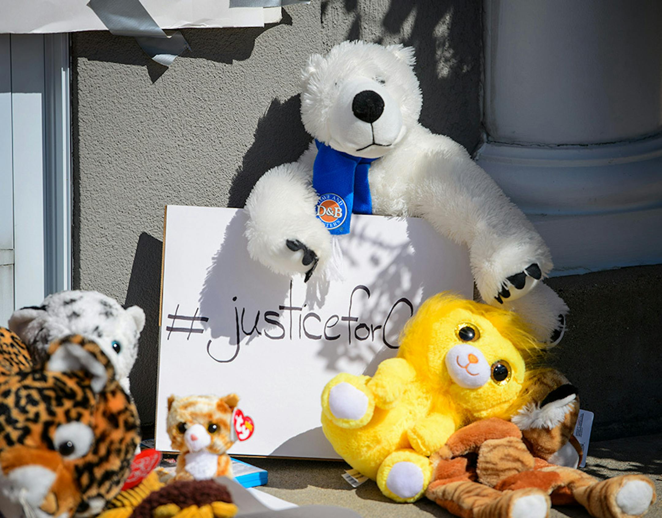 Protestors left more signs and stuffed animals in front of Dr. Palmer's dental practice.