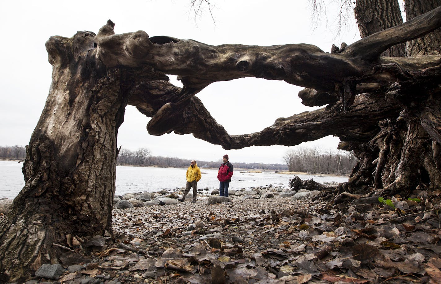 Consultant Jason Amberg, left, and Three Rivers Park District associate superintendent Jonathan Vlaming survey the Mississippi River shoreline at Coon Rapids Dam Regional Park in Brooklyn Park November 12, 2015. The park is getting a makeover as well as a new name. (Courtney Perry/Special to the Star Tribune)