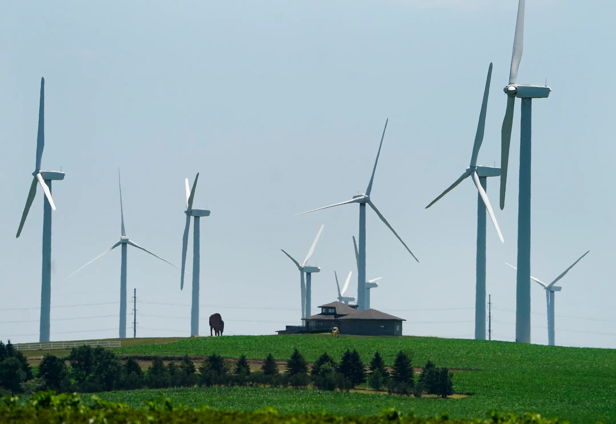 Power line congestion leads to wind turbine shutdowns, denting county ...