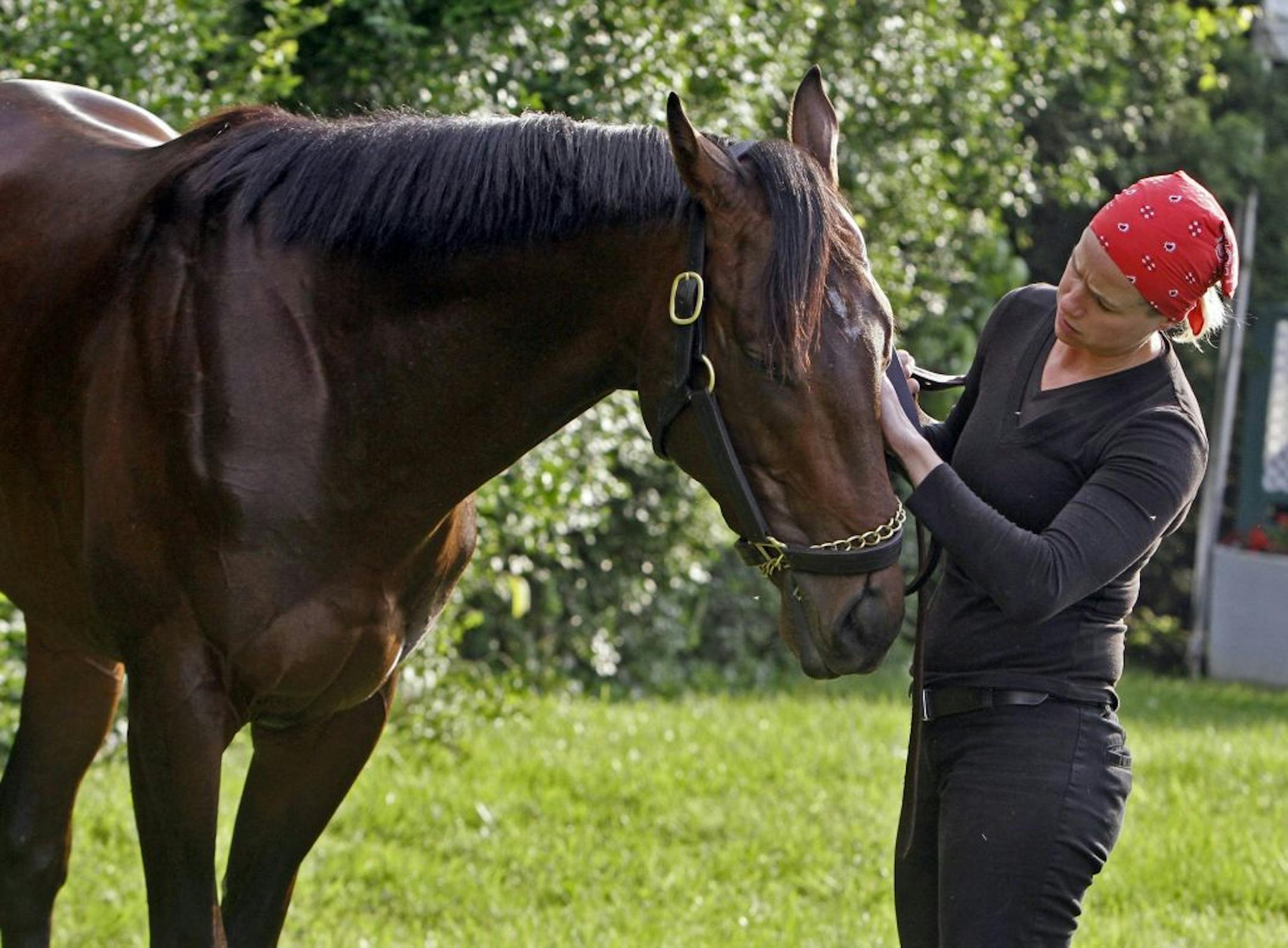Exercise rider Jennifer Patterson rubs the face of Kentucky Derby winner and Preakness Stakes hopeful Orb