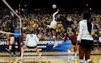 Gophers right side hitter Stephanie Samedy (10) spiked the ball against Bryant during last weekend's opening round.
